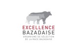 Logo Bazadaise