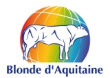 Logo Blonde