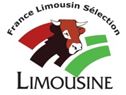 Logo Limousine
