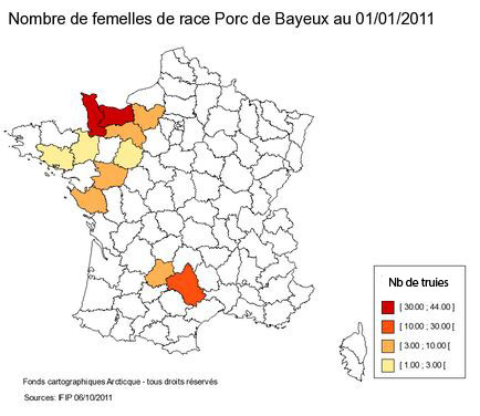 races Bayeux